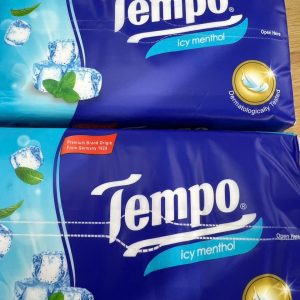 Khăn giấy rút Tempo bạc hà - Bì 90 tờ